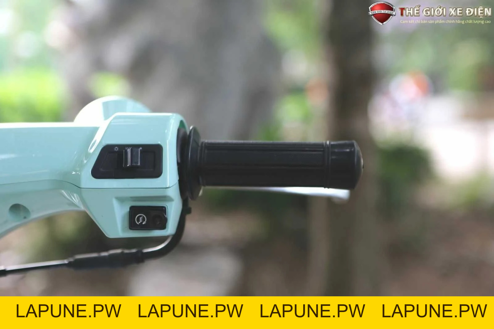 Xe Máy 50cc Cub New 50SE Vigor Ally Bản Đặc Biệt Giới Hạn - Xe điện Vivu