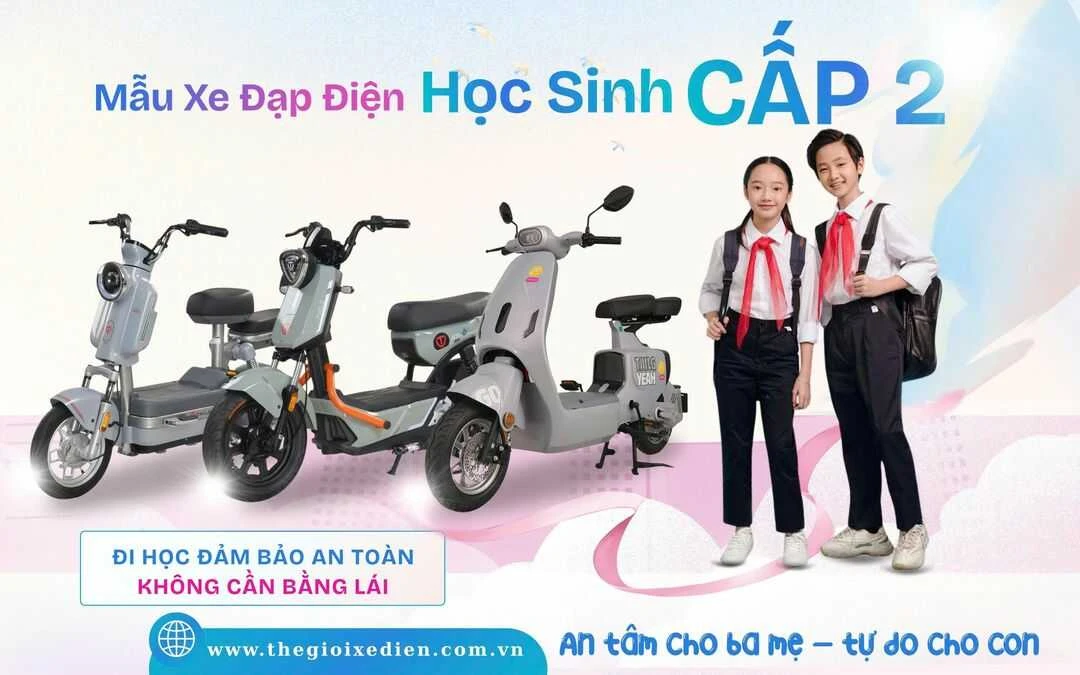 Xe Đạp Điện Dibao Rosa Thế Hệ Mới (Đầy Đủ Giấy Tờ) - Xe điện Vivu